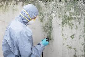 Mold Removal for HVAC Installations in Galena, KS